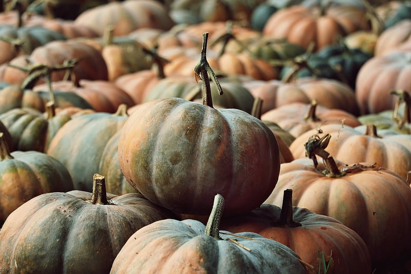 Pumpkin Pie